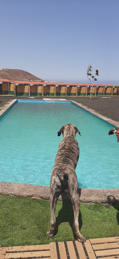 Hotel Canino Escubidú