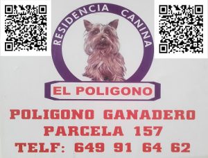 RESIDENCIA CANINA CACERES EL POLIGONO