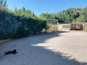 Residencia Canina Fontagria