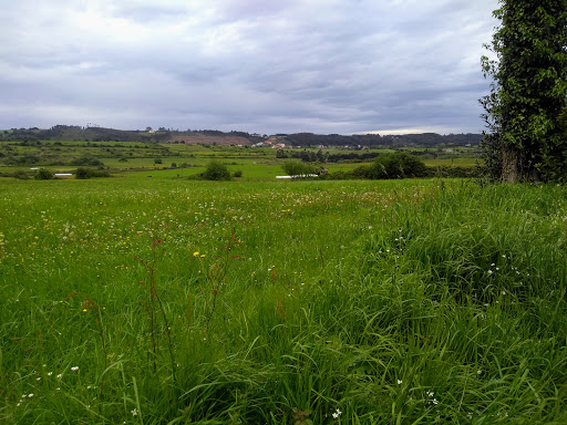 Residencia Canina Los Vitorones