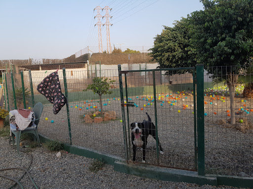 Residencia Canina Malaga Unican